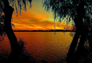 Sunset glow, branches, trees, sky, orange, sunset, evening HD wallpaper