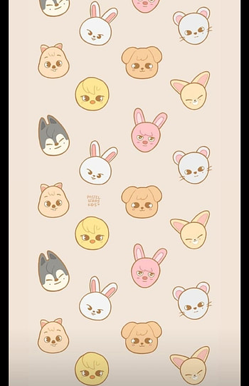 Skzoo Stray Kids, straykids, skz HD phone wallpaper