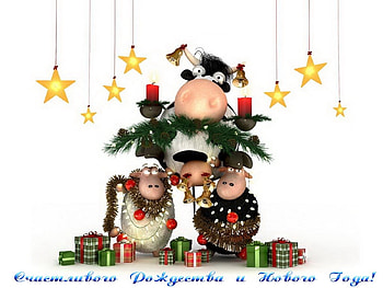Holidays, New Year, Christmas, Xmas, Cows HD wallpaper