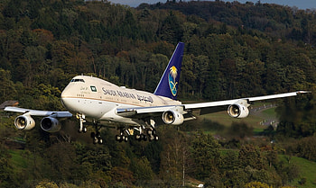 Landing, trees, plane, boeing, great HD wallpaper