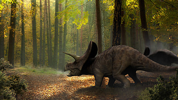 Triceratops, Popular , Dinosaur , Mesozoic era HD wallpaper