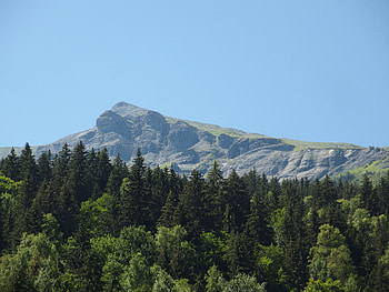 Nature, Trees, Mountain, Vertex, Top, Forest HD wallpaper