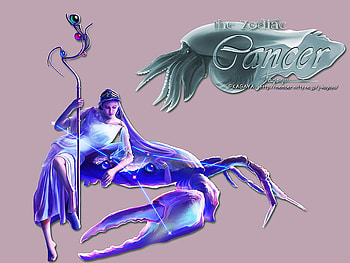 zodiac signs, taurus, cancer, scor, aqua, leo, libra, star, capric, pisces, sagi, gemini, virgo HD wallpaper