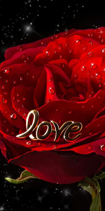 Love, red, petal, droplets, rose HD phone wallpaper