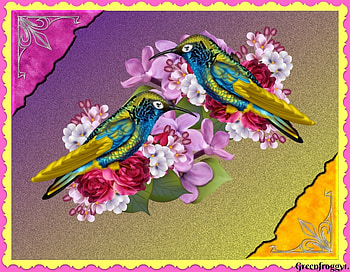 TWO PRETTY BIRDS, BIRDS, PRTTY, ART, TWO HD wallpaper