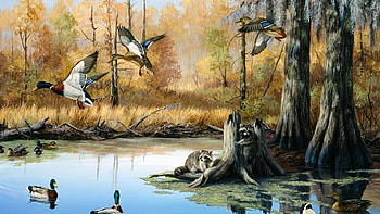 ... duck hunting aws com; bow ... HD wallpaper