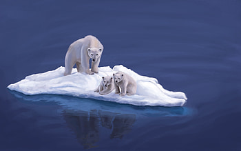 Animals, , Drawing, Island, White Bears, Polar Bears HD wallpaper