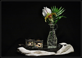 Sophisticated Still Life, two cups, art , still life, crystal, sophisticaded, flower, vase, nice HD wallpaper