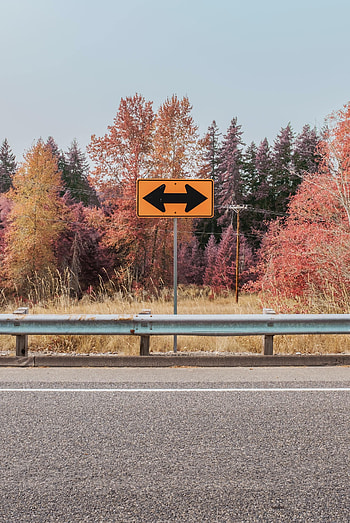 Nature, Trees, Autumn, Road, Sign, Arrows HD phone wallpaper