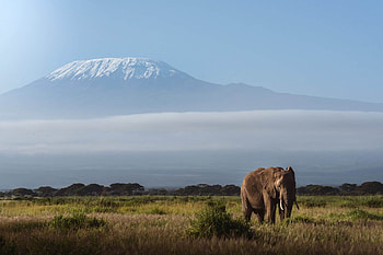 Mount Kilimanjaro, Preservation efforts, Majestic beauty, Trekking adventure HD wallpaper