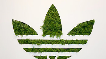 Adidas, Grass logo, , Unique and stylish HD wallpaper