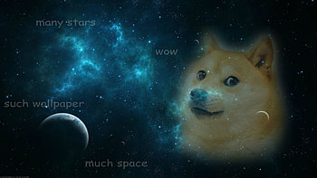 Space Doge | UTILILAB SearchGUARDIAN HD wallpaper