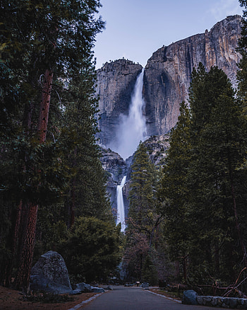 Nature, Trees, Stones, Waterfall, Cliff HD phone wallpaper