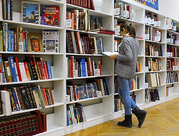 A young woman stands reading a book in a well-stocked library. HD wallpaper