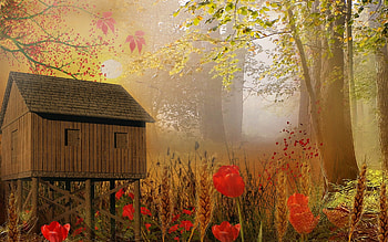 autumn put together, lovely, nice, hut, tree HD wallpaper