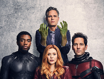 Avengers: infinity war, black panther, antman, hulk, movie HD wallpaper
