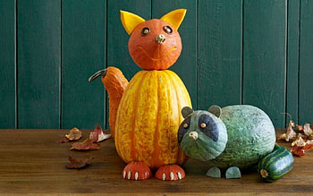 Gifts of Autumn, pumpkins, autumn, still life, gifts HD wallpaper
