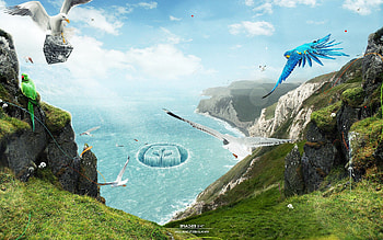 Birds Paradise, birds, flying, dreamy, fantasy HD wallpaper