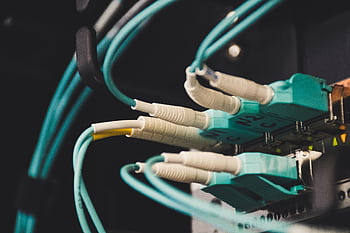 Detailed view of fiber optic cables and ports in a server room, showcasing connectivity. HD wallpaper