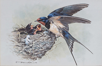 by Basil Ede, paint, bird, swallow, young HD wallpaper