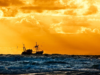 Vessel at Sunset, sea, birds, ship, vessel, fishing, navy, nature, sunset HD wallpaper