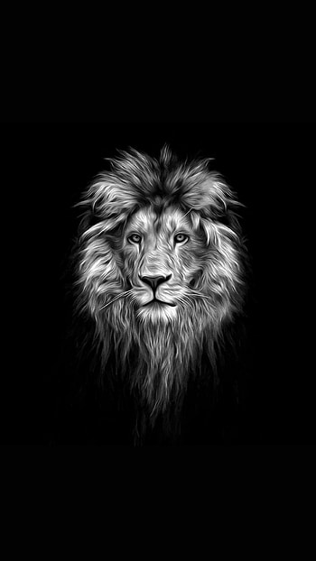 Lion, big_cats, whiskers HD phone wallpaper