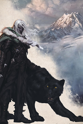 Legend of Drizzt, Drizzt Dourden, Dark elf, Forgotten realms HD phone wallpaper