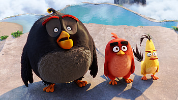 Latest Angry Birds 2016 Movie, angry-birds, birds, movies, animated-movies, 2016-movies, red, the-angry-birds-movie HD wallpaper