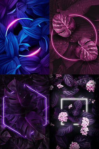 Neon, black HD phone wallpaper