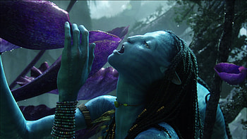 Zoe Saldana, Avatar movie HD wallpaper