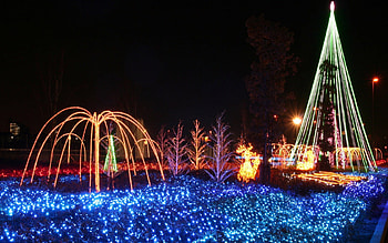 .Lovely Xmas Tree., celebrations, amusement parks, holidays, winter holidays, attractions in dreams, beautiful, creative pre-made, outdoor, love four seasons, displays, Christmas, spotlight, xmas and new year, lovely, christmas tree HD wallpaper