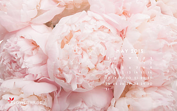 Behind the Scenes at a Peony Farm May 2015 Calendar HD wallpaper
