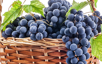 Grapes, leaf, , food HD wallpaper