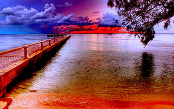 BEAUTIFUL HORIZON, branch, shore, bridge, sunset, ocean, tree HD wallpaper