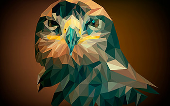 Owl, Pop Art HD wallpaper