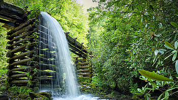 Waterfall From Wood Bridge Lake Green Leafed Trees Forest Background Nature HD wallpaper