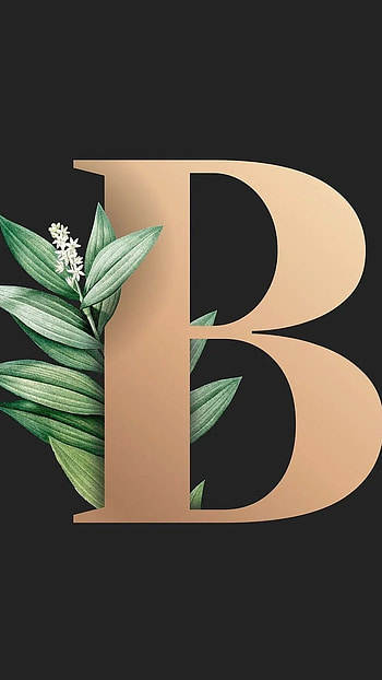 B Letter, Black Theme HD phone wallpaper