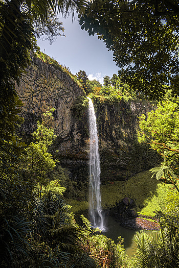 Nature, Trees, Waterfall, Vegetation, Cliff HD phone wallpaper