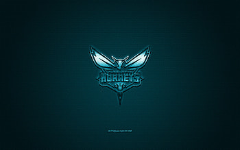 Charlotte Hornets, basketball, logo, nba HD wallpaper