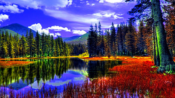 AUTUMN POND, autumn, pines, mountains, forest, pond HD wallpaper