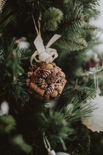 Holidays, Cones, New Year, Christmas, Christmas Tree, Decoration HD phone wallpaper