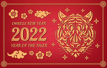 Year of the Tiger, background HD wallpaper