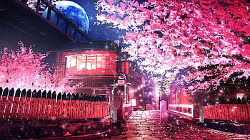 Cherry Tree Anime, anime, artist, artwork, digital-art HD wallpaper