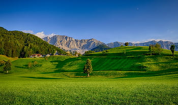 Stunning view of lush green hills against a majestic mountain range under a clear blue sky. HD wallpaper