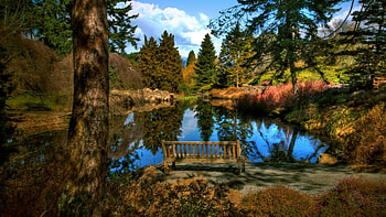 Scene from a seat, Lake, Seat, Trees, Bushes HD wallpaper