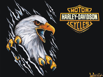 Harley, logo, davidson, eagle HD wallpaper