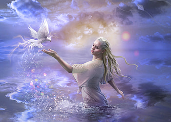 Fantasy Girl, Water, Bird, Girl, Blue, Fantasy HD wallpaper