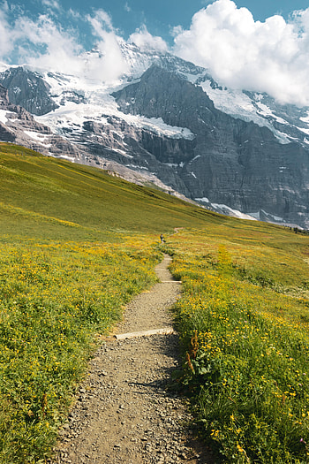 Landscape, Nature, Grass, Mountains, Stroll, Appeasement, Pacification HD phone wallpaper