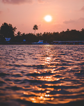 Nature, Water, Sunset, Waves, Palms, Boat HD phone wallpaper
