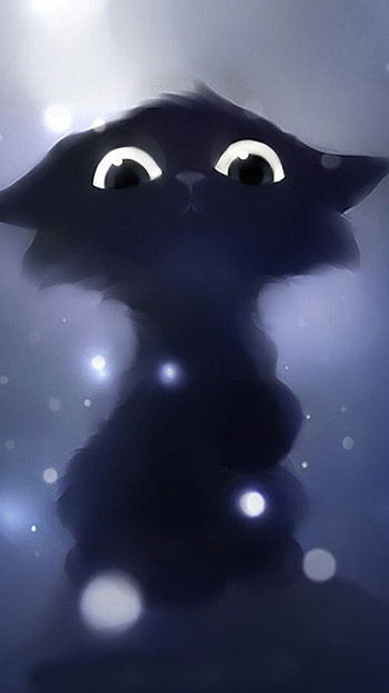 cutee cat HD phone wallpaper